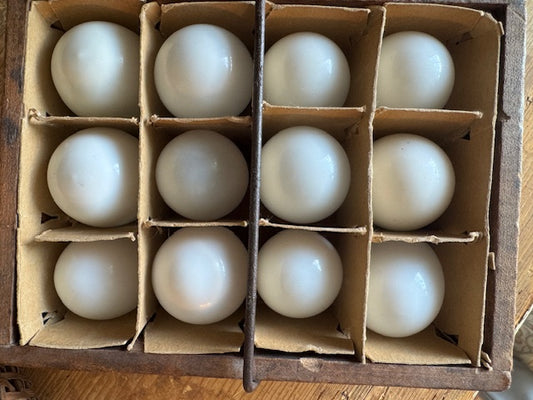 Antique 1906 Star Egg Carrier Wood Dozen Hollow Glass Eggs